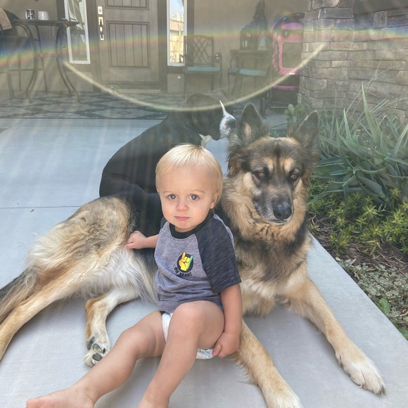 Meet your Posher, Lindsey - Picture 7 of 8